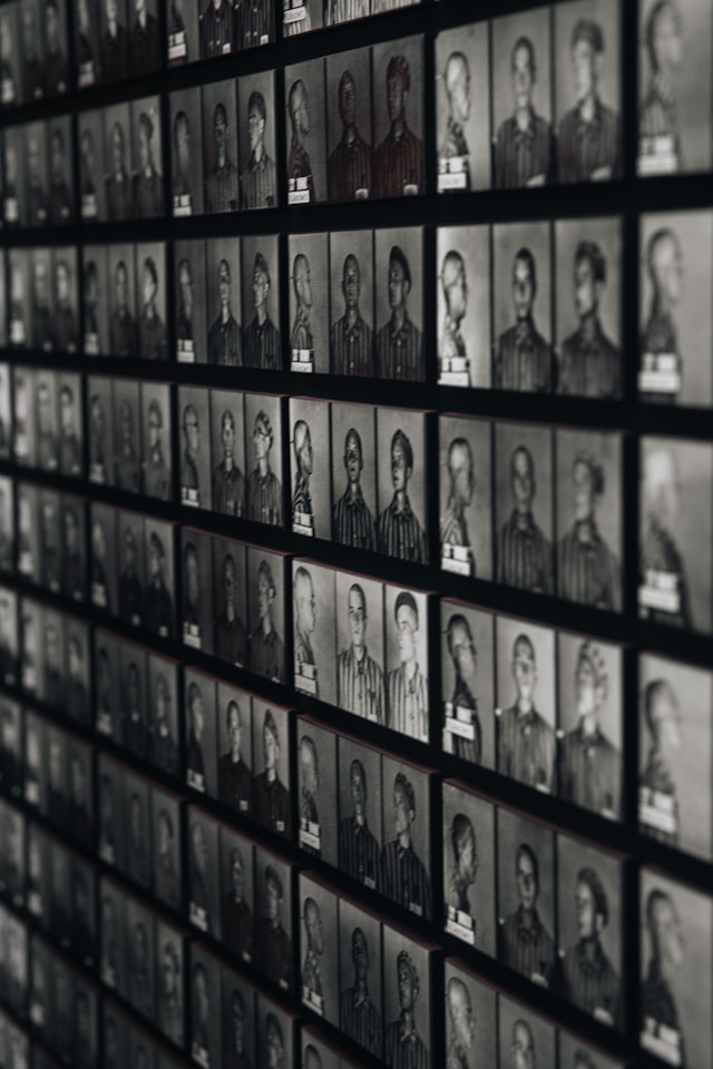 reputation management services